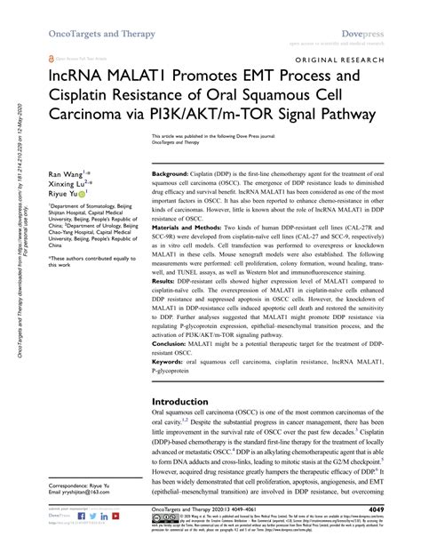 Pdf Lncrna Malat1 Promotes Emt Process And Cisplatin Resistance Of