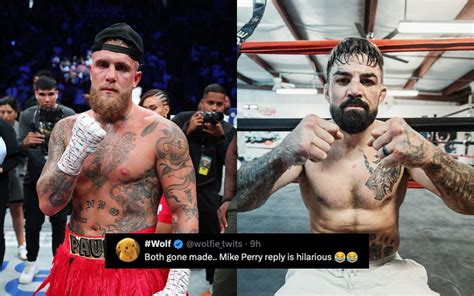 "That was the exact response I'd expect" - Fans react as Mike Perry ...