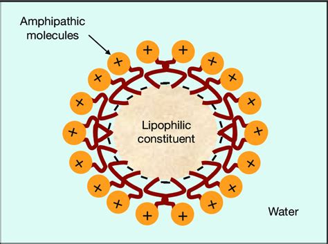 The principle of micelle formation. | Download Scientific Diagram