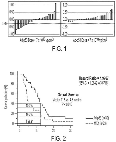 Methods And Compositions Comprising Tumor Suppressor Gene Therapy And