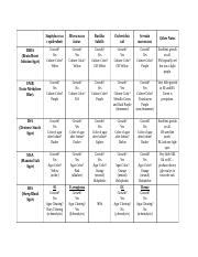 Lab 13 Results Table Docx Staphylococcu S Epiderdimis Micrococcus