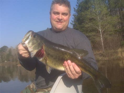 bass anglers buying habits  media preferences