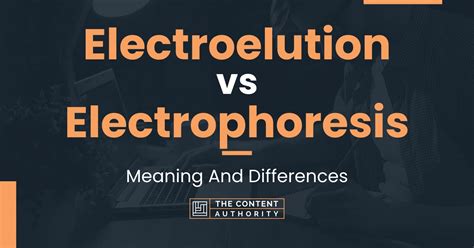 Electroelution Vs Electrophoresis Meaning And Differences