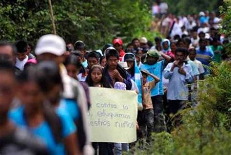 Son Al Menos 300 Mil Los Desplazados Por La Violencia En México