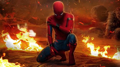 peter parker spider man homecoming  hd movies wallpapers hd