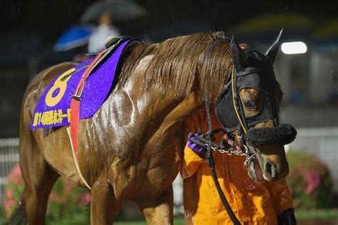 第14回 福永洋一記念を観戦しに高知競馬場へ行ってきました。 フランシスコの土佐日記