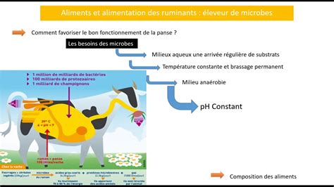 Aliment Et Alimentation Des Ruminants Youtube