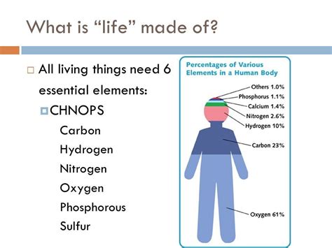 The Elements Of Life Mapped Across The Milky Way By Sdssapogee