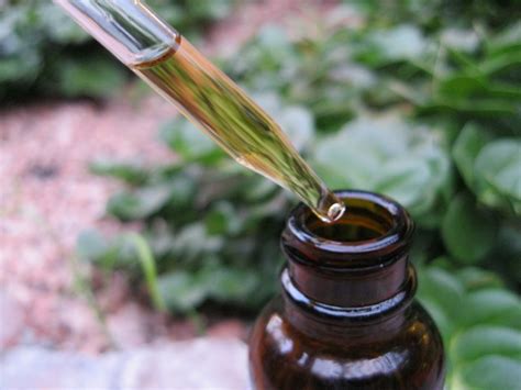 How To Make Herbal Tinctures Survival Stronghold