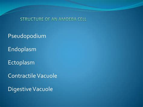 Ppt Amoeba Cell Powerpoint Presentation Free Download Id2868469