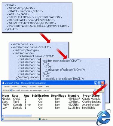 Langage Xml Pour Les D Butants Support Office