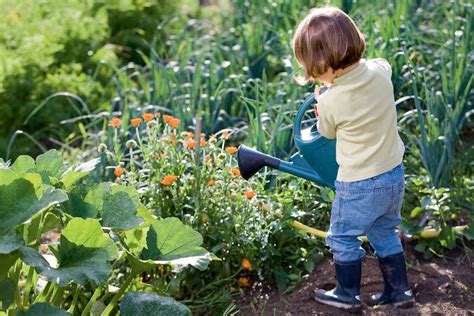 Jardiner Avec Mes Enfants Conseils Et Astuces