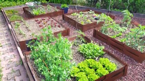 Astuces Conna Tre Pour Un Potager Au Top Astuces De Grand M Re