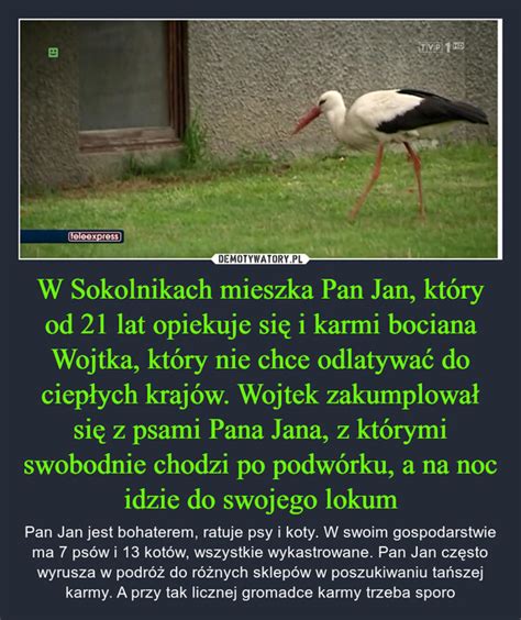 W Sokolnikach mieszka Pan Jan który od 21 lat opiekuje się i karmi