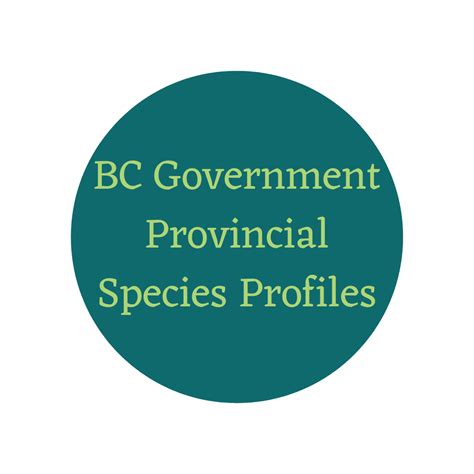 Invasive Species Identification Ssisc