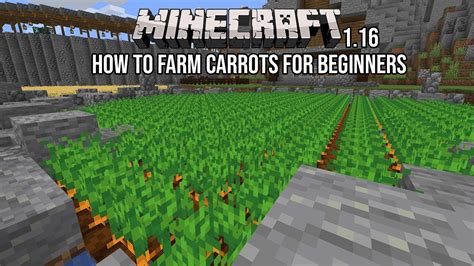 How To Farm Carrots And What To Do With Them Minecraft Survival For