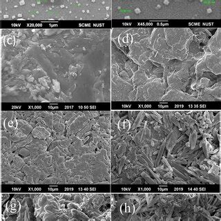 Scanning Electron Microscopy Micrographs Sem A B Nio Nps At