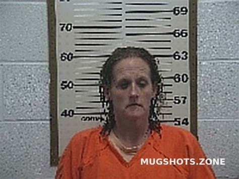 VANSCYOC DANA ELAINE 08/11/2023 - Belmont County Mugshots Zone