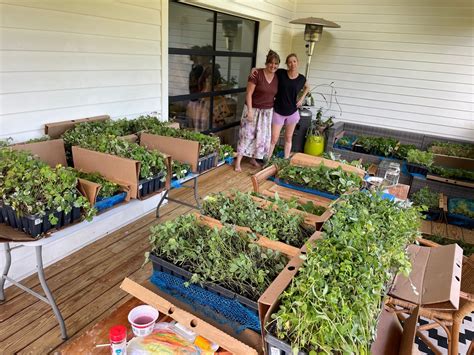 'Restoring the ecosystem': Nashville, TN nonprofit brings back native ...
