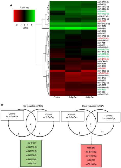 MiRNA Expression Levels In 5 And 8 Gy Exo Compared With 0 Gy Exo