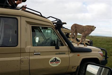 4 Days Join Group Tour Tarangire Serengeti And Ngorongoro Crater