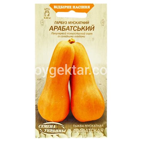 Купить Тыква Мускатная Арабатская