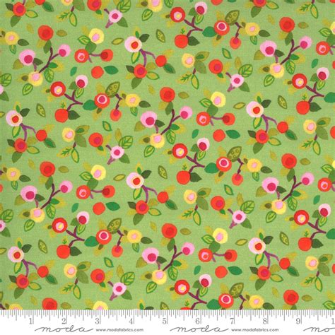 Fanciful Forest Designed By Momo For Moda Fabric The Oz Material