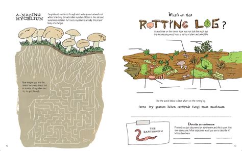 Julia Rothmans Nature Anatomy Activity Book Match Ups Word Puzzles