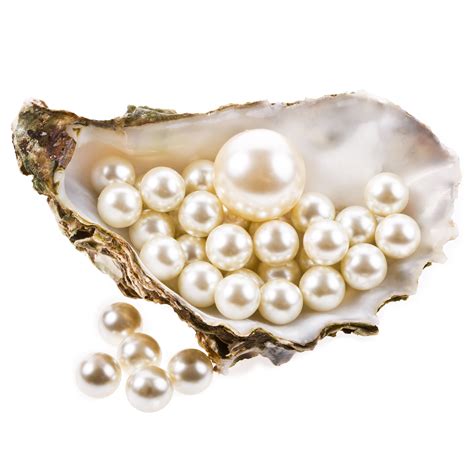 How Are Pearls Harvested Tps Blog