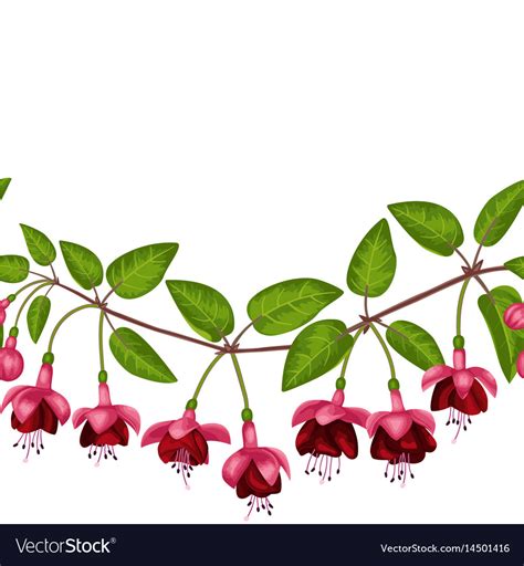 Fuchsia Seamless Border Royalty Free Vector Image