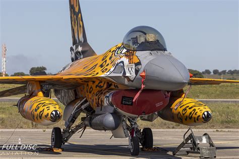 Big Cats In Beja Nato Tiger Meet Full Disc Aviation Sharing