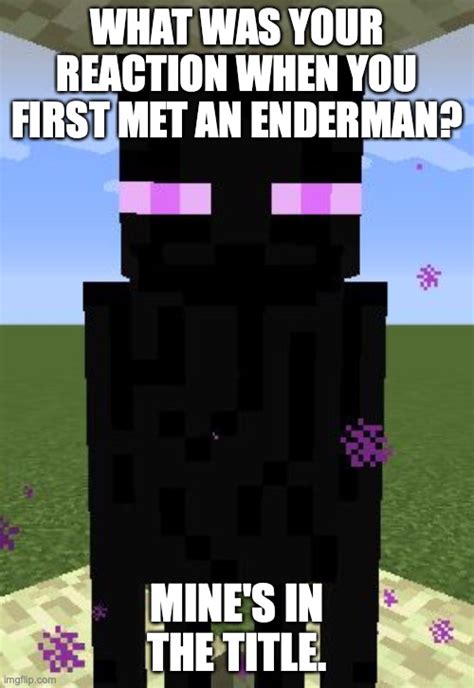 Funny Minecraft Enderman Memes