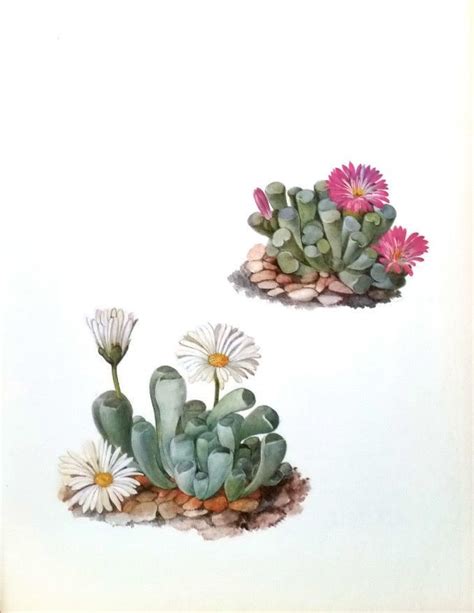 Pin De Diana CoFa En Proyectos Que Debo Intentar Pintura De Cactus