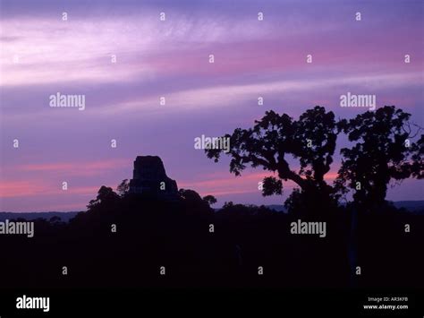 Tikal, Peten, Guatemala Stock Photo - Alamy