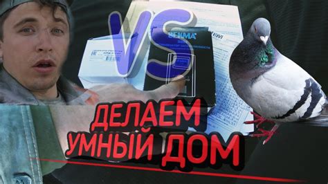 Человек против голубей. Сезон купания открыт. - YouTube