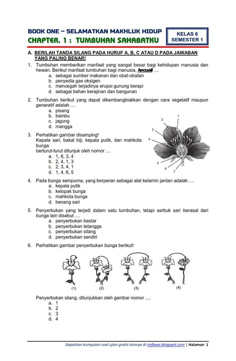 Soal Ipa Kelas Semester Homecare