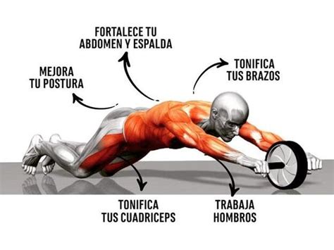 Rueda De Ejercicios Para Abdominales Ruedas Multifuncional