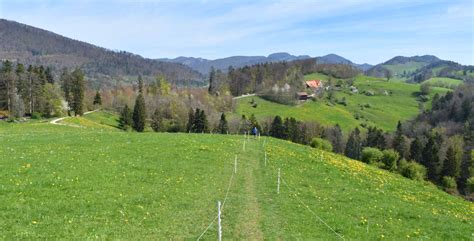 Wanderung Holderbank SO Tiefmatt Roggenflue Roggen Kluser Grat