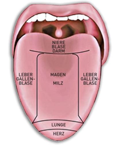 Irisdiagnose Anlitzdiagnose Pulsdiagnose Heilpraktiker