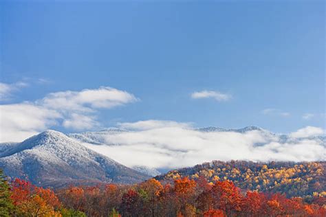 Clingmans Dome Stock Photos, Pictures & Royalty-Free Images - iStock