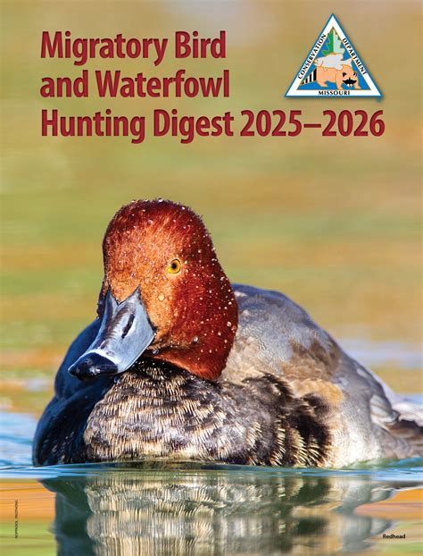New MDC hunting booklets available for deer, turkey, dove, waterfowl
