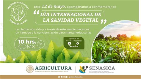 Día Internacional de la Sanidad Vegetal YouTube