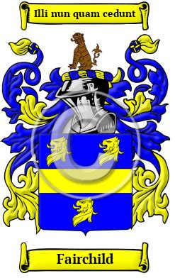 Fairchild Name Meaning, Family History, Family Crest & Coats of Arms