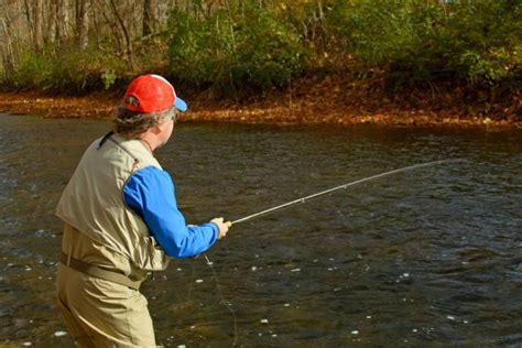 The Best Sinking Fly Line In Buyers Guide