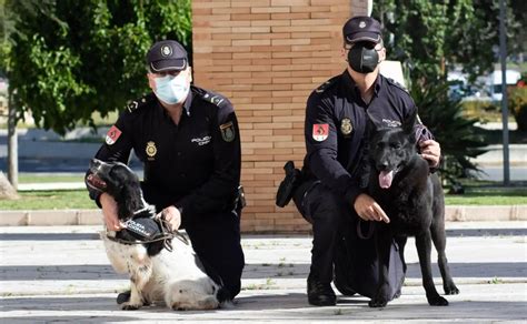 Guías Caninos Los Policías Con Más Olfato De Málaga Diario Sur