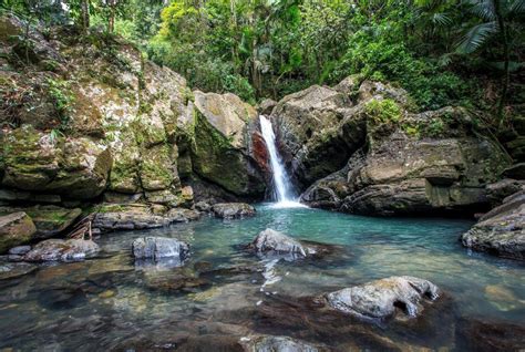 Know Before You Go Visiting El Yunque National Park Puerto Rico