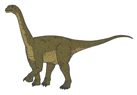 Camarasaurus Pictures & Facts - The Dinosaur Database