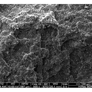 TGA Analysis Of Oat Hull Fibre And PP PLA Oat Hull Composites