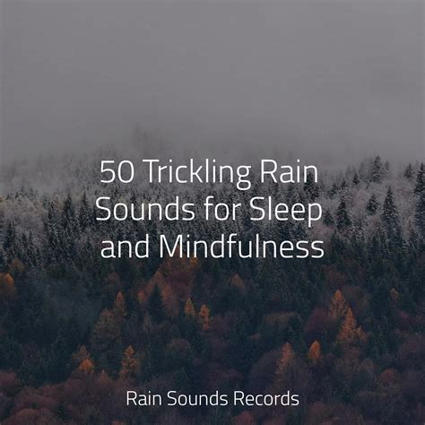 50 Trickling Rain Sounds For Sleep And Mindfulness Pro Sound Effects