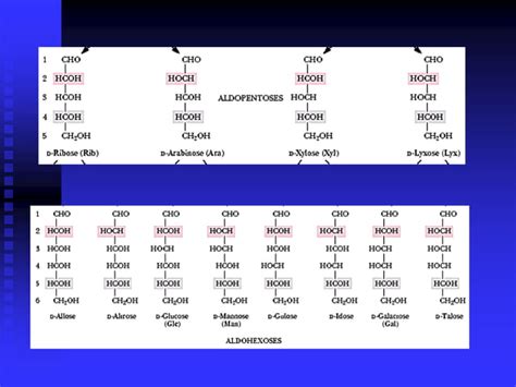 Carbohidratos Ppt